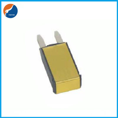 E79 30 Standard Ampereselbstleistungsschalter-SAEJ1171 für Ladegerät-Systeme